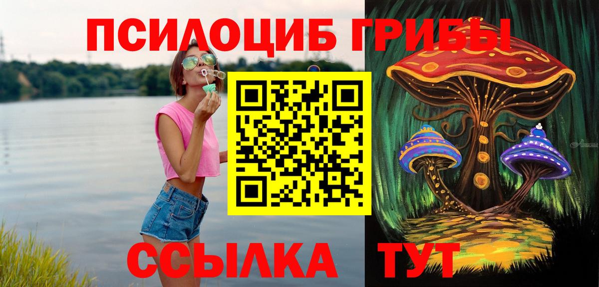 Коммунар  Псилоцибиновые грибы MAGIC MUSHROOMS  Вход с VPN 